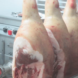 Arctic meat walk-in coolers