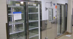 arctic coolers and freezers